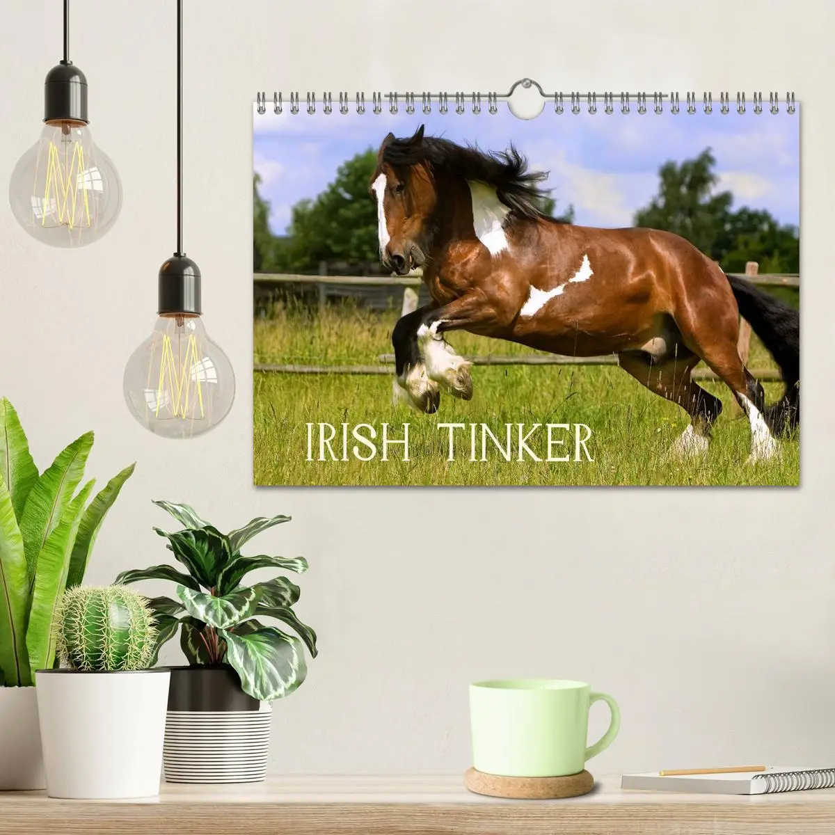 Bild: 9783516224290 | Irish Tinker (Wandkalender 2026 DIN A4 quer), CALVENDO Monatskalender