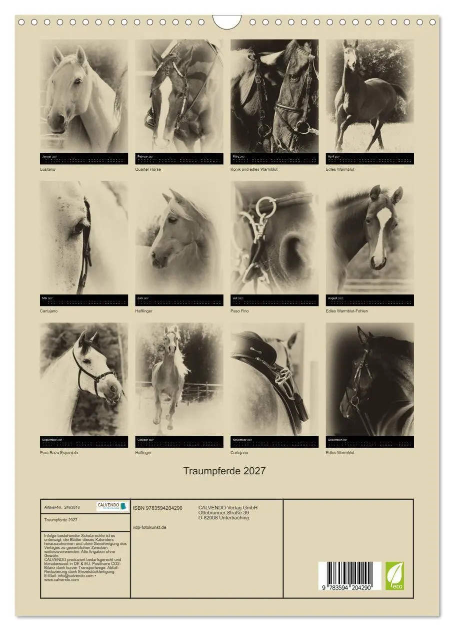 Bild: 9783594204290 | Traumpferde 2027 (Wandkalender 2027 DIN A3 hoch), CALVENDO...