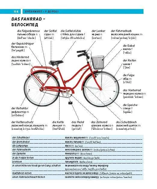 Bild: 9783125164390 | PONS Bildwörterbuch Ukrainisch | Taschenbuch | PONS Bildwörterbuch