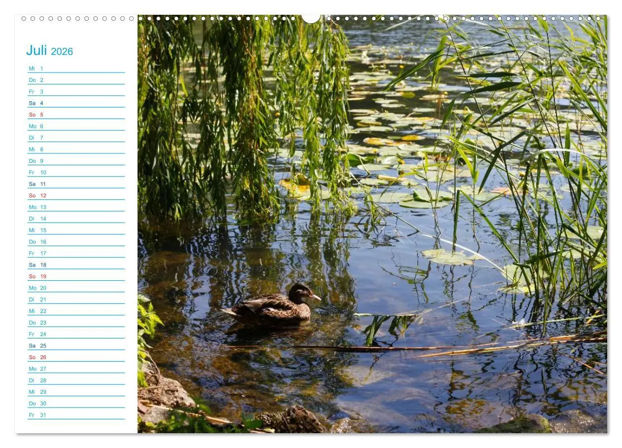 Bild: 9783457984390 | Urlaubsparadies Scharmützelsee (Wandkalender 2026 DIN A2 quer),...