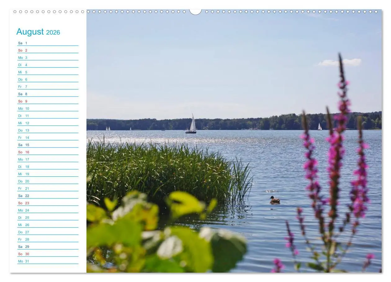 Bild: 9783457984390 | Urlaubsparadies Scharmützelsee (Wandkalender 2026 DIN A2 quer),...