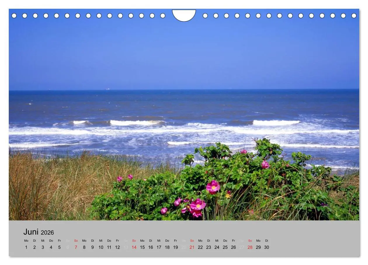 Bild: 9783516214390 | Ostfriesland an der Nordseeküste (Wandkalender 2026 DIN A4 quer),...