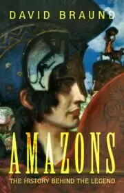Cover: 9781108834490 | Amazons | The History Behind the Legend | David Braund | Buch | 2025