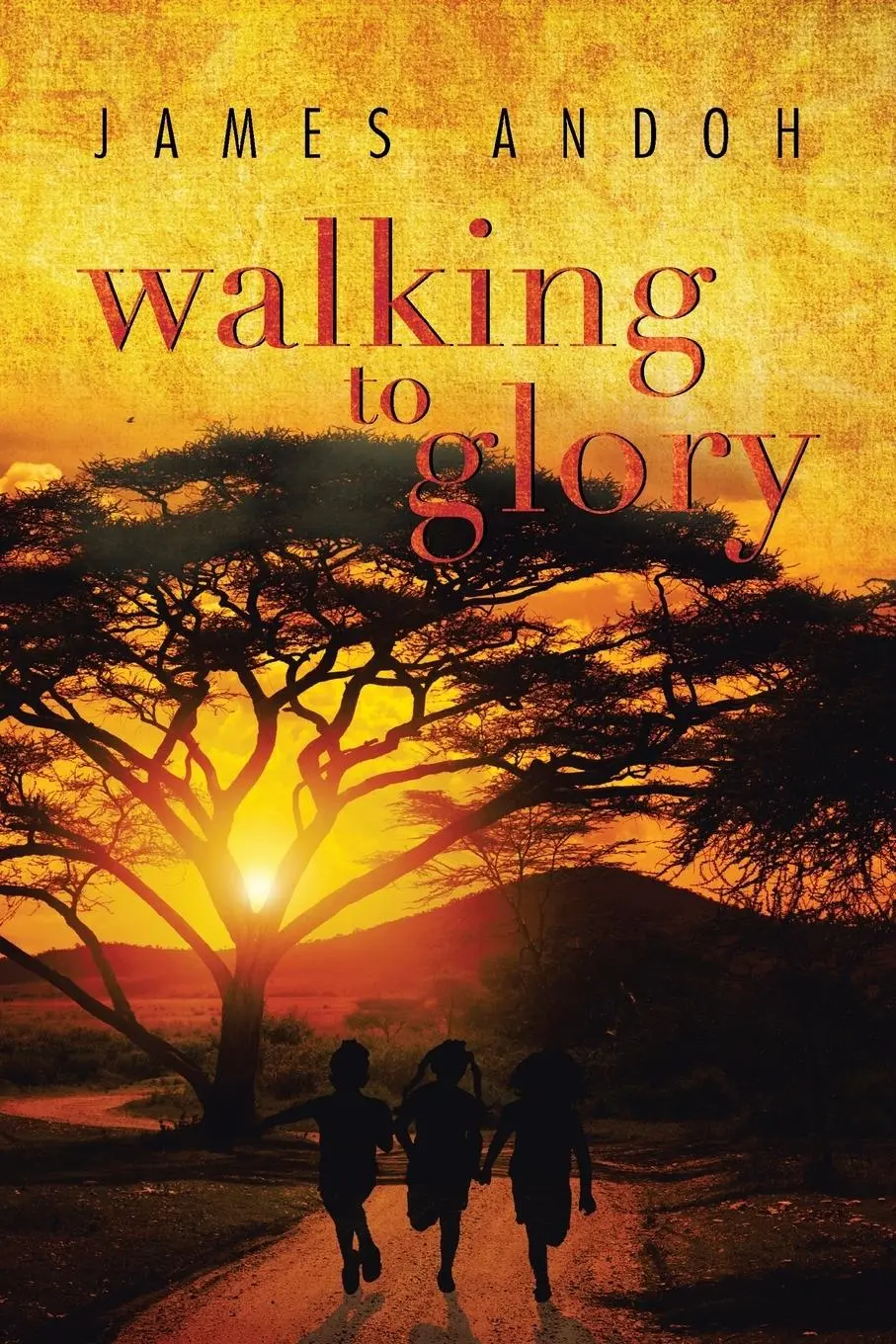 Cover: 9781493194490 | Walking to Glory | James Andoh | Taschenbuch | Kartoniert / Broschiert