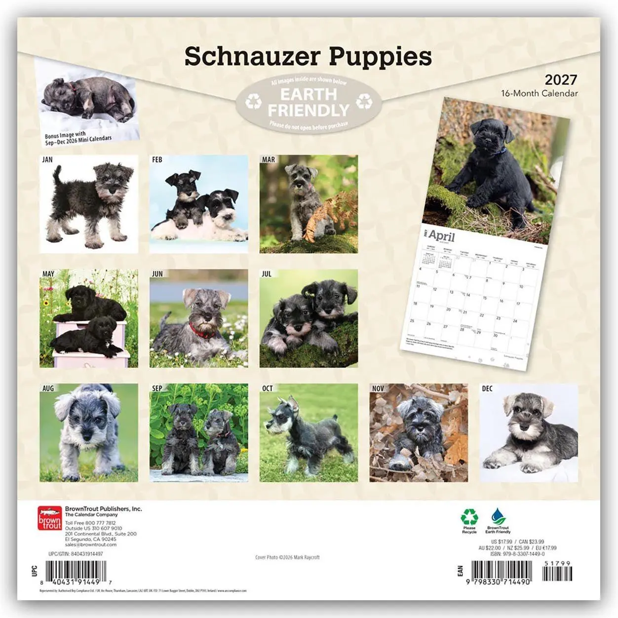 Rückseite: 9798330714490 | Schnauzer Puppies - Schnauzer Welpen 2027 - 16-Monatskalender | 28 S.