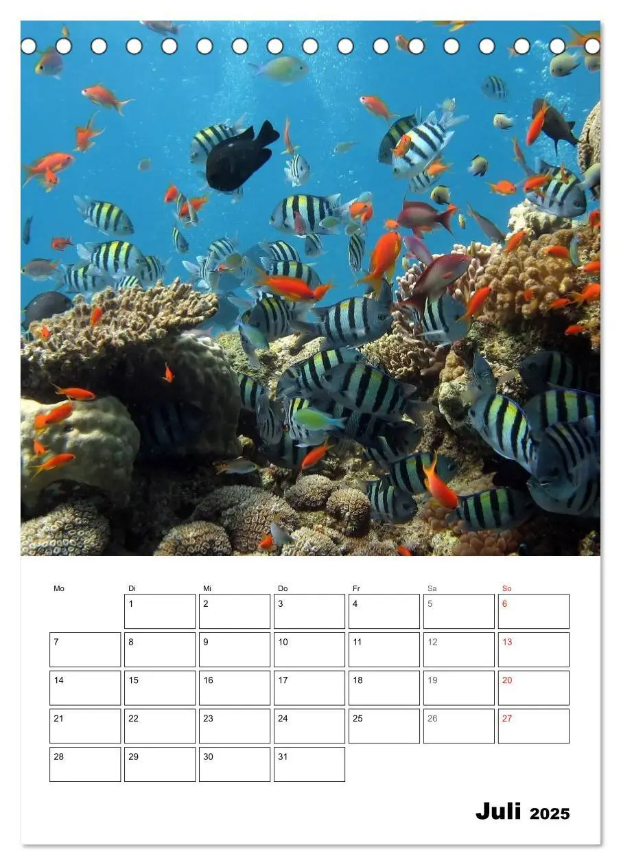Bild: 9783457034590 | Zauberwelt. Fische, Korallen und Co. (Tischkalender 2025 DIN A5...