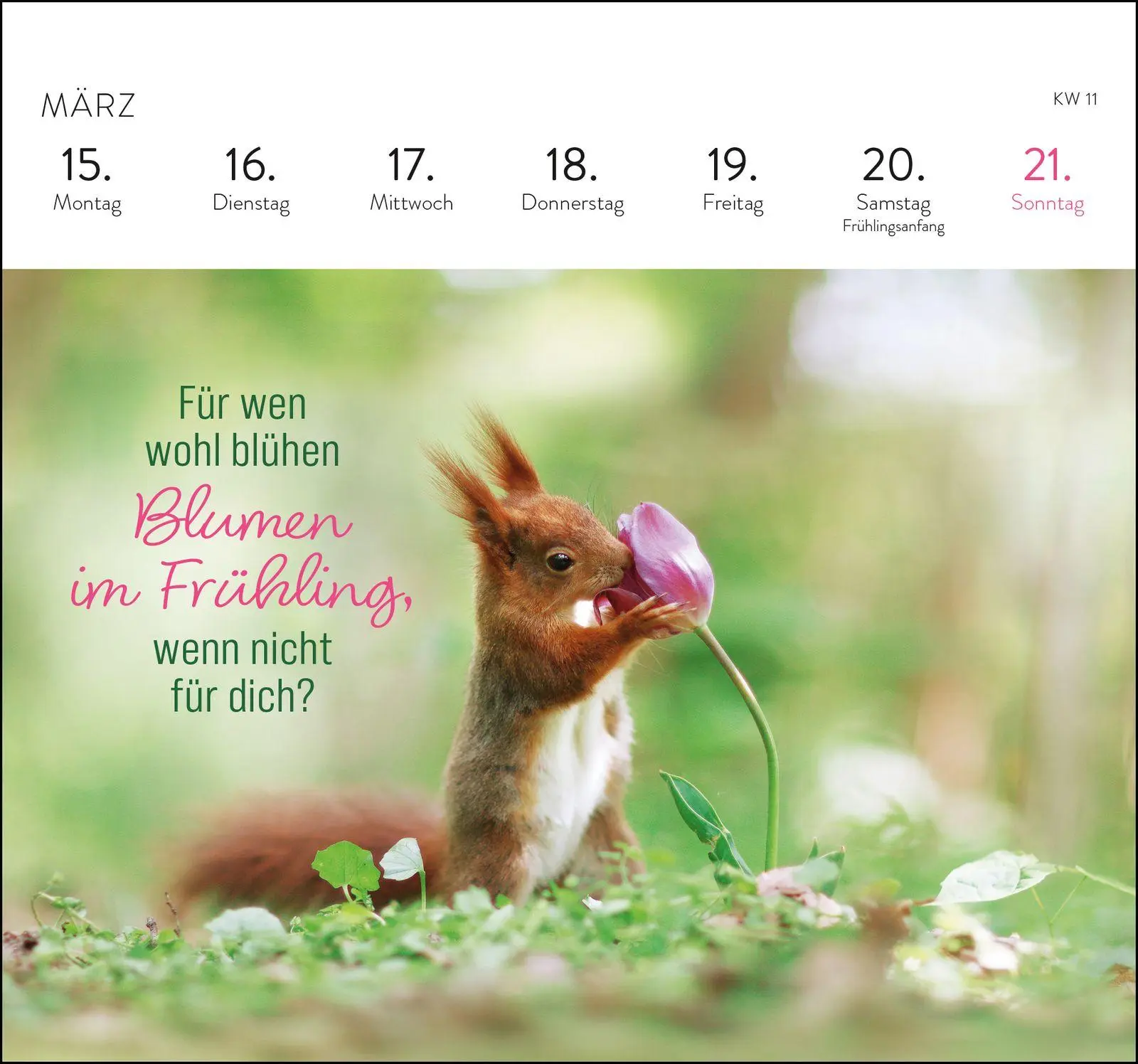 Bild: 4036442014790 | Postkartenkalender 2027: Kleine Glücksbringer für dein Jahr | Rad