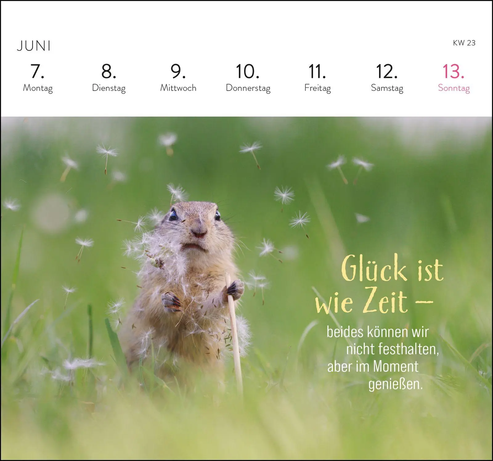 Bild: 4036442014790 | Postkartenkalender 2027: Kleine Glücksbringer für dein Jahr | Rad