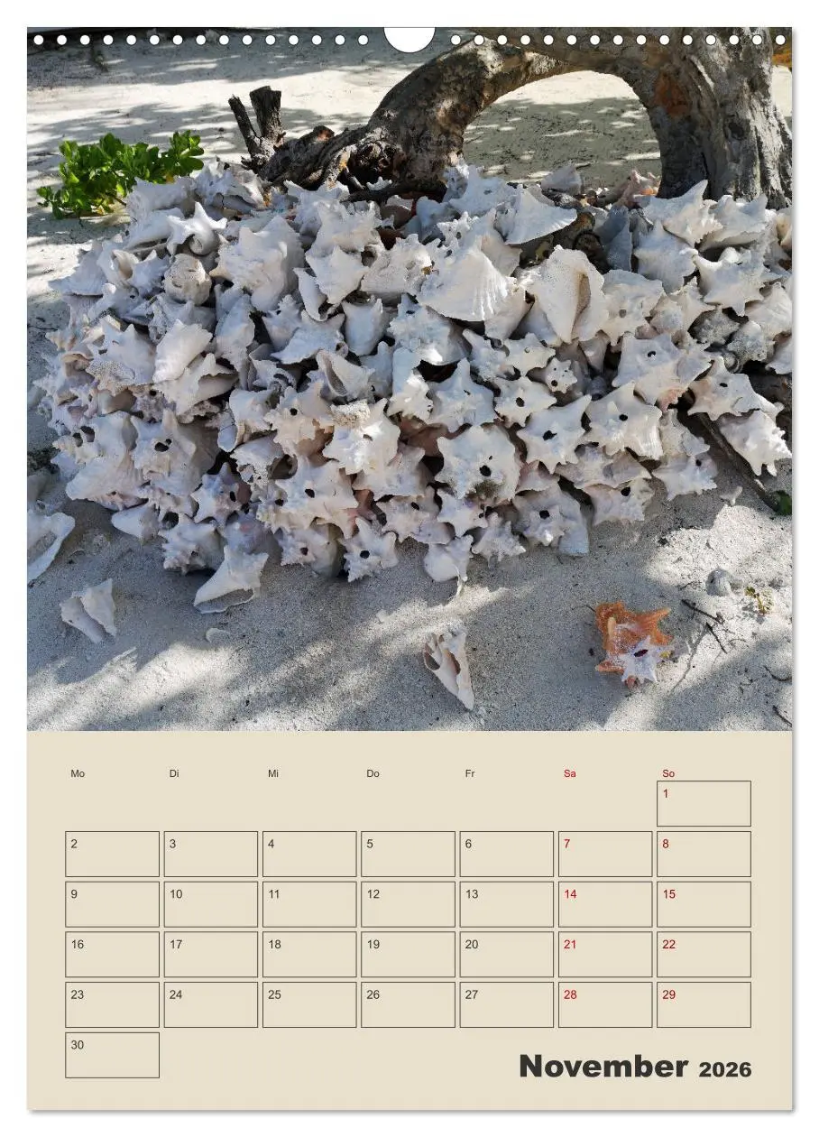 Bild: 9783516344790 | Mexiko Yucatán Terminplaner (Wandkalender 2026 DIN A3 hoch),...