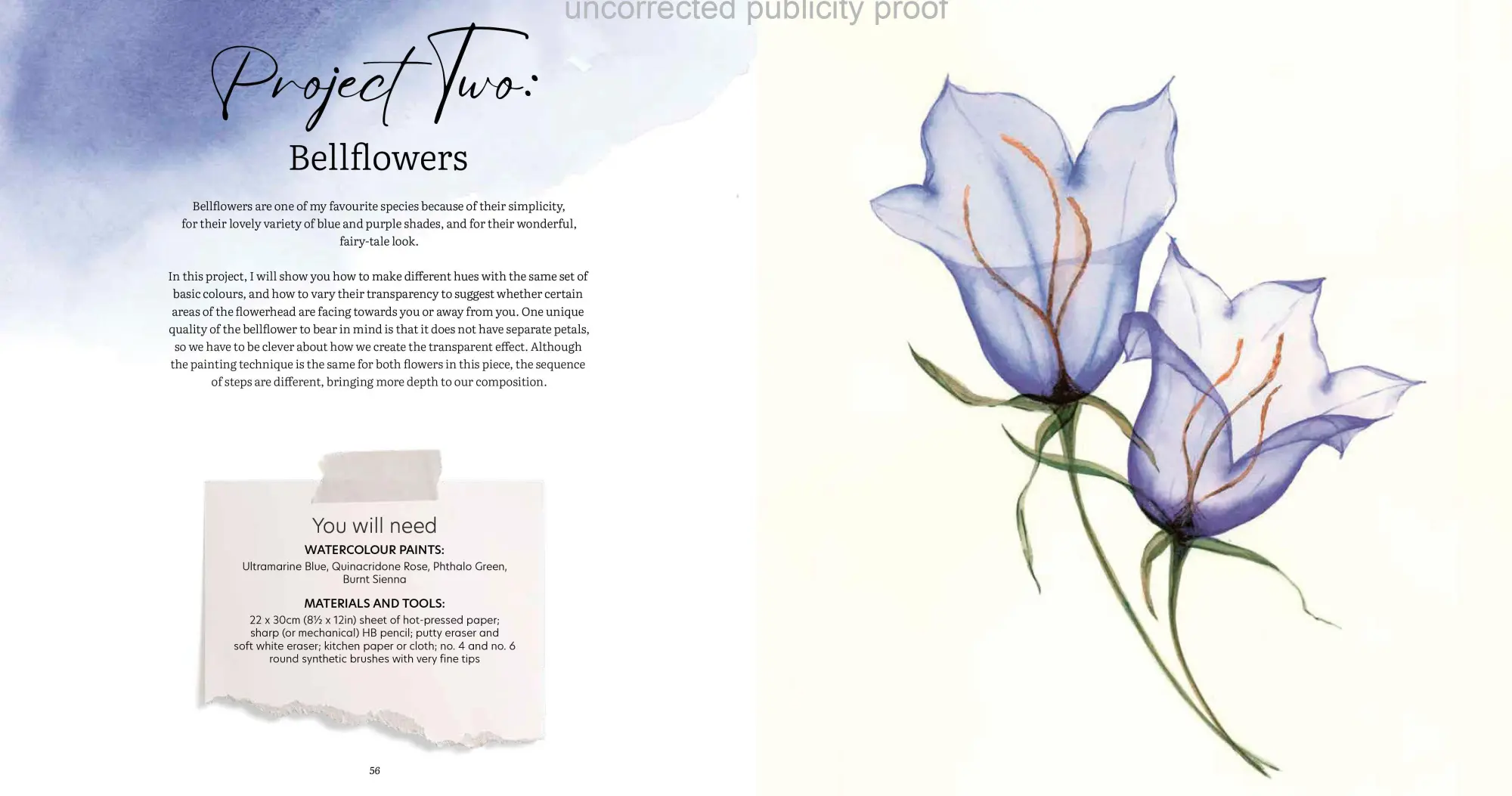 Bild: 9783862304790 | Aquarell trifft Blütenpoesie | Transparente Blumenmotive malen | Buch