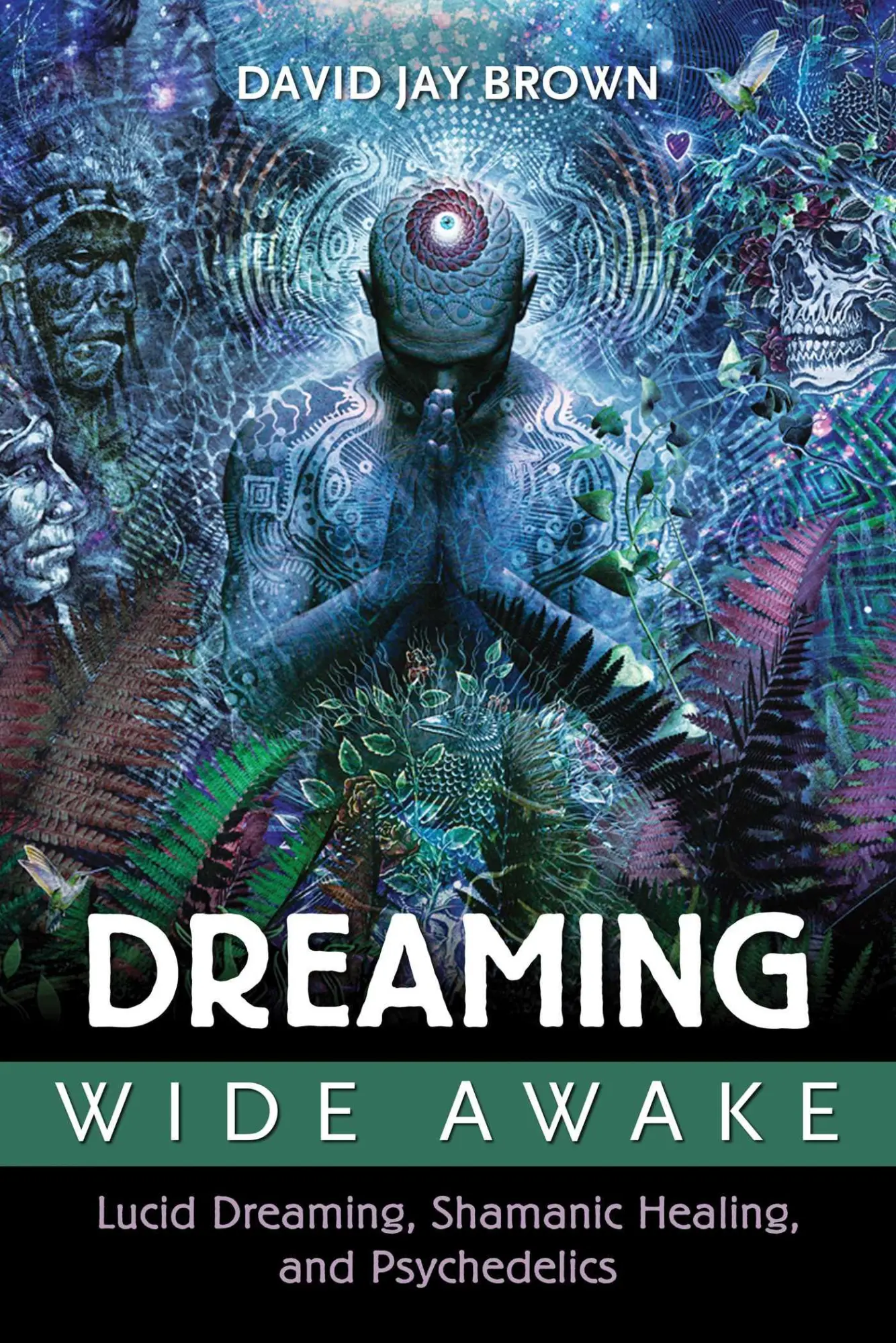 Cover: 9781620554890 | Dreaming Wide Awake | David Jay Brown | Taschenbuch | Englisch | 2016