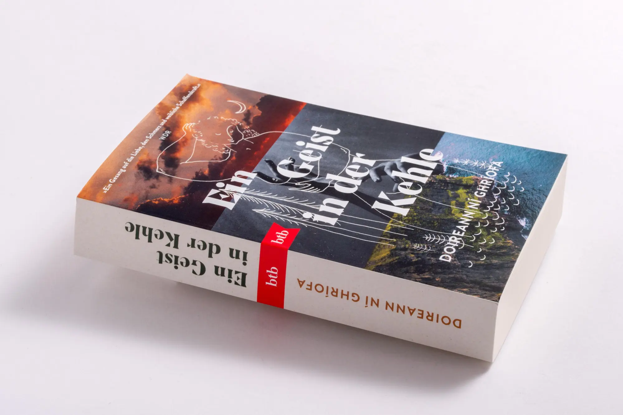 Bild: 9783442774890 | Ein Geist in der Kehle | Doireann Ní Ghríofa | Taschenbuch | 384 S.