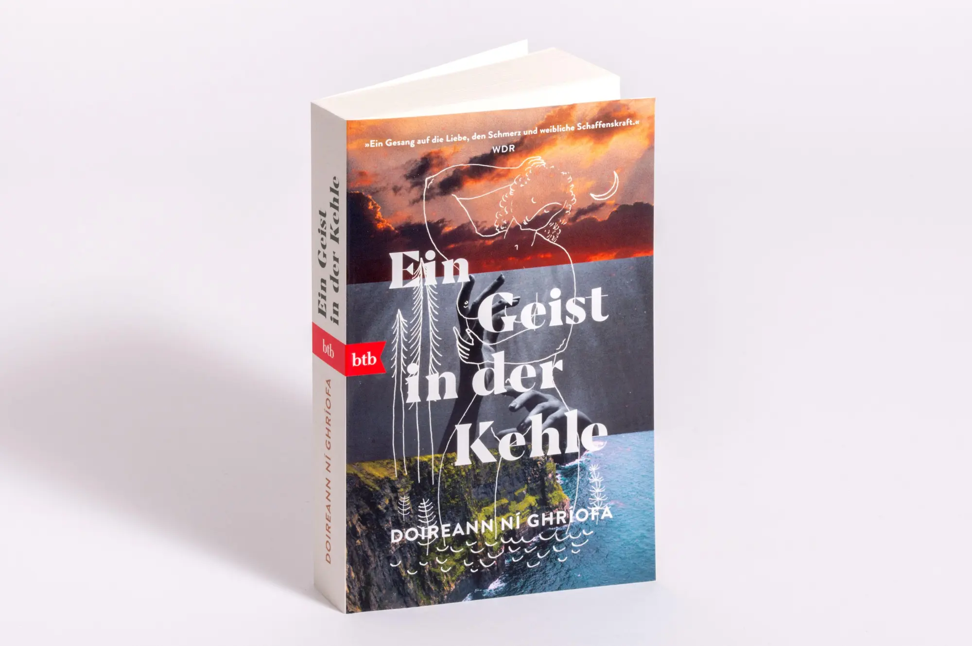 Bild: 9783442774890 | Ein Geist in der Kehle | Doireann Ní Ghríofa | Taschenbuch | 384 S.