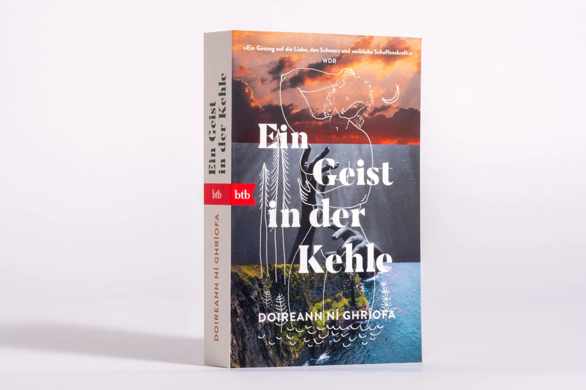 Bild: 9783442774890 | Ein Geist in der Kehle | Doireann Ní Ghríofa | Taschenbuch | 384 S.
