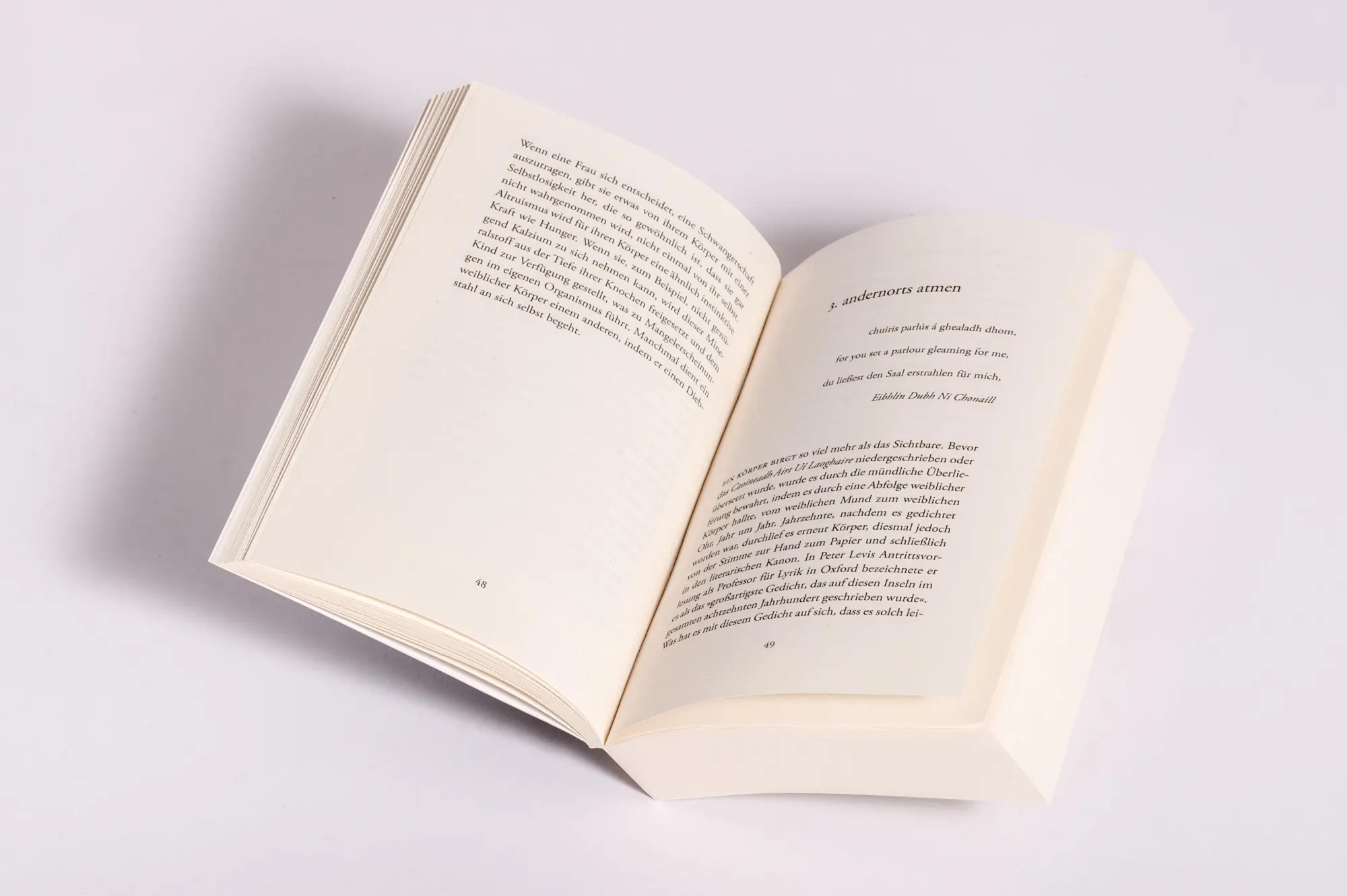 Bild: 9783442774890 | Ein Geist in der Kehle | Doireann Ní Ghríofa | Taschenbuch | 384 S.