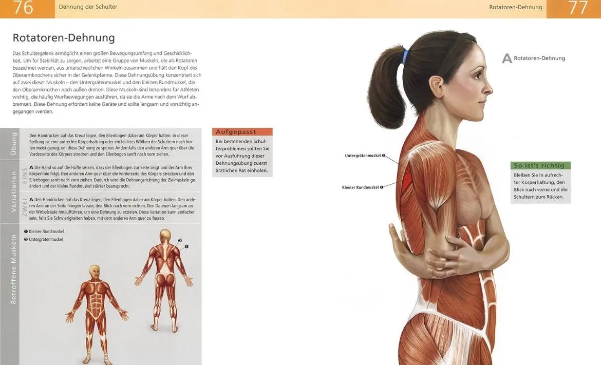 Bild: 9789089984890 | Das Anatomie-Buch der Stretch Übungen | Ken Ashwell | Taschenbuch