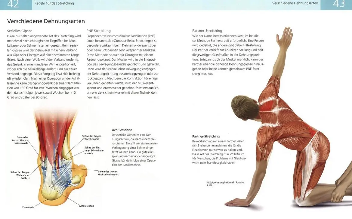 Bild: 9789089984890 | Das Anatomie-Buch der Stretch Übungen | Ken Ashwell | Taschenbuch