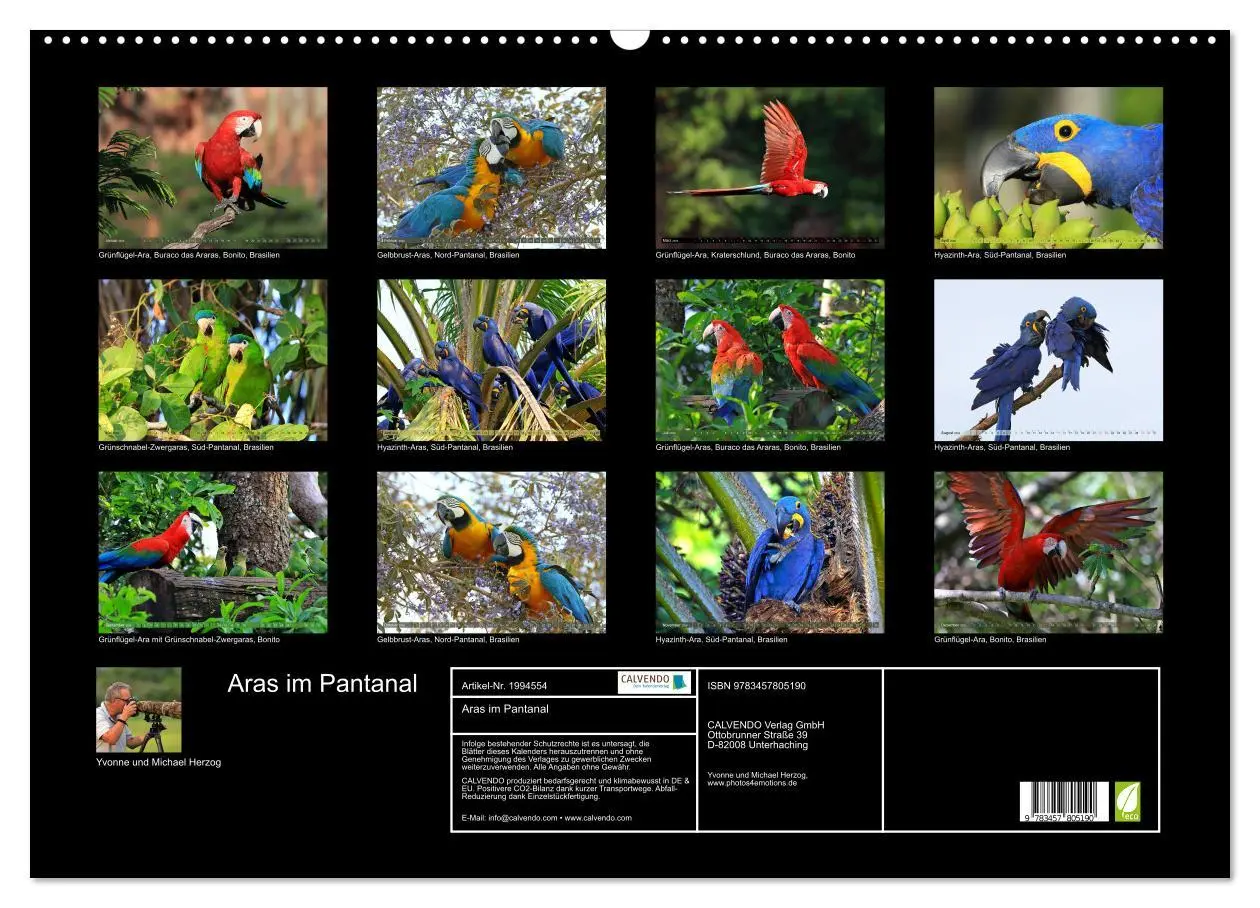 Bild: 9783457805190 | Aras im Pantanal (Wandkalender 2026 DIN A2 quer), CALVENDO...