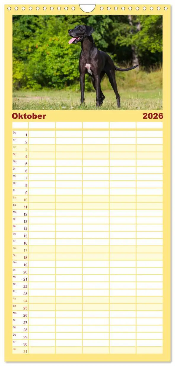 Bild: 9783516515190 | Familienplaner 2026 - Deutsche Dogge mit 5 Spalten (Wandkalender,...