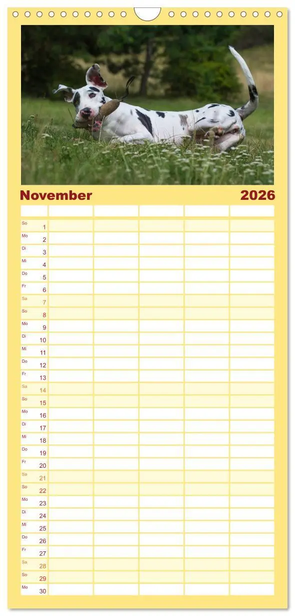 Bild: 9783516515190 | Familienplaner 2026 - Deutsche Dogge mit 5 Spalten (Wandkalender,...