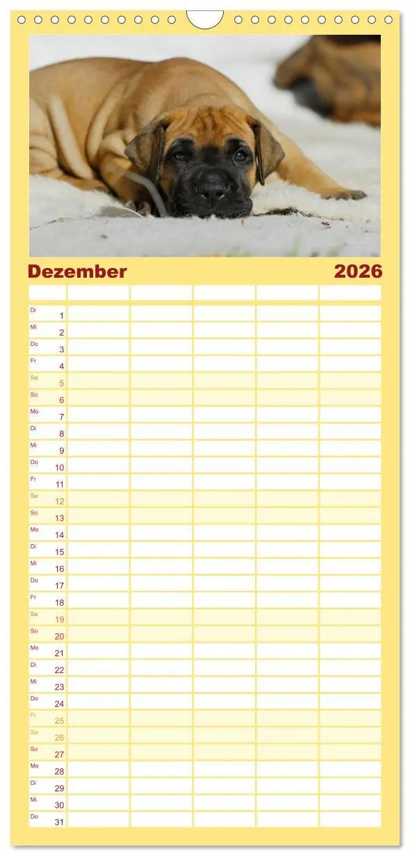 Bild: 9783516515190 | Familienplaner 2026 - Deutsche Dogge mit 5 Spalten (Wandkalender,...