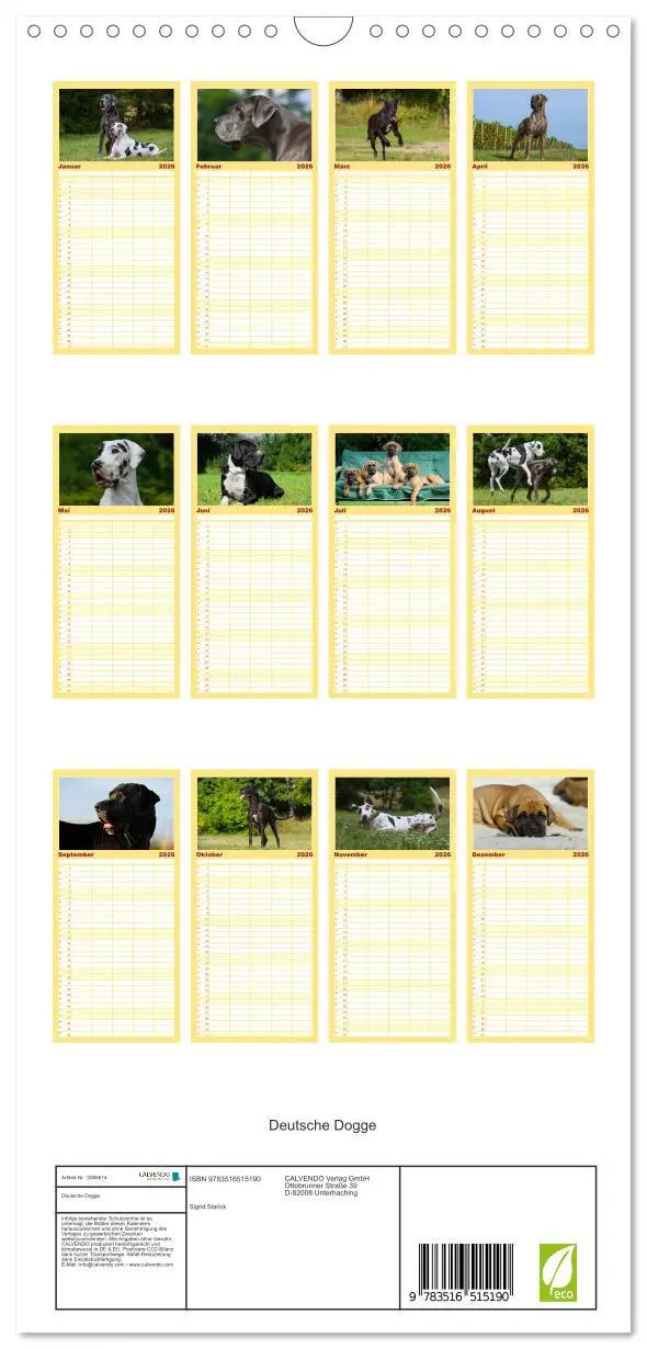 Bild: 9783516515190 | Familienplaner 2026 - Deutsche Dogge mit 5 Spalten (Wandkalender,...
