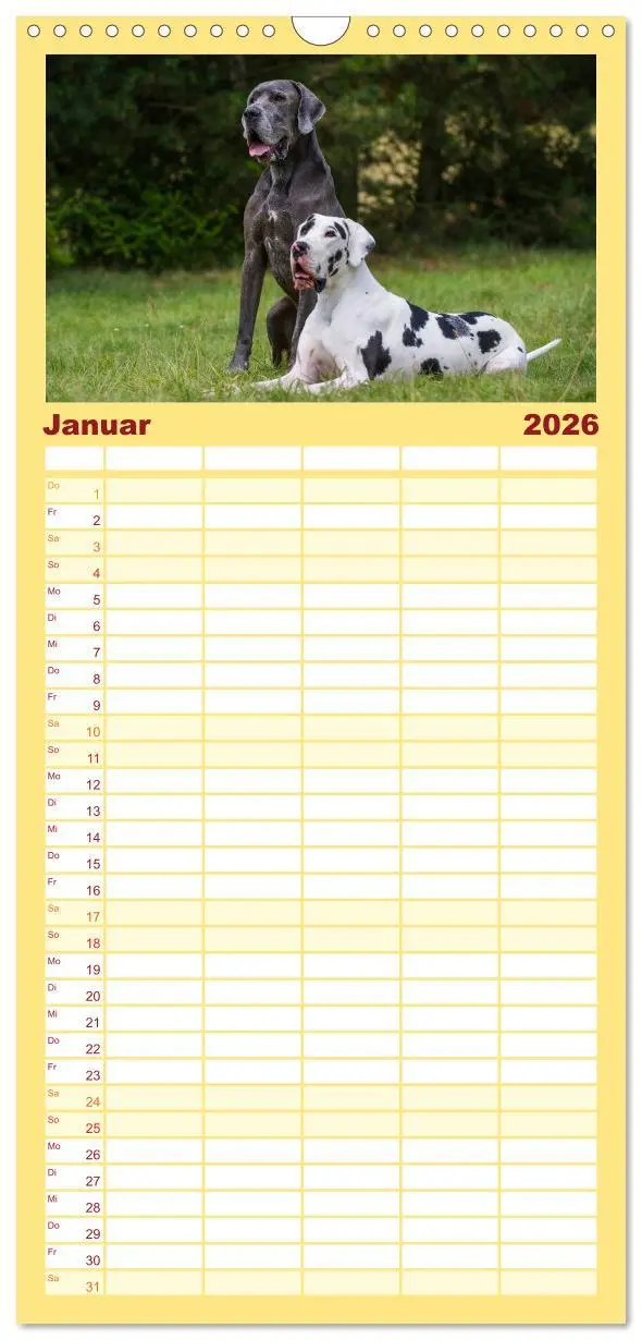Bild: 9783516515190 | Familienplaner 2026 - Deutsche Dogge mit 5 Spalten (Wandkalender,...