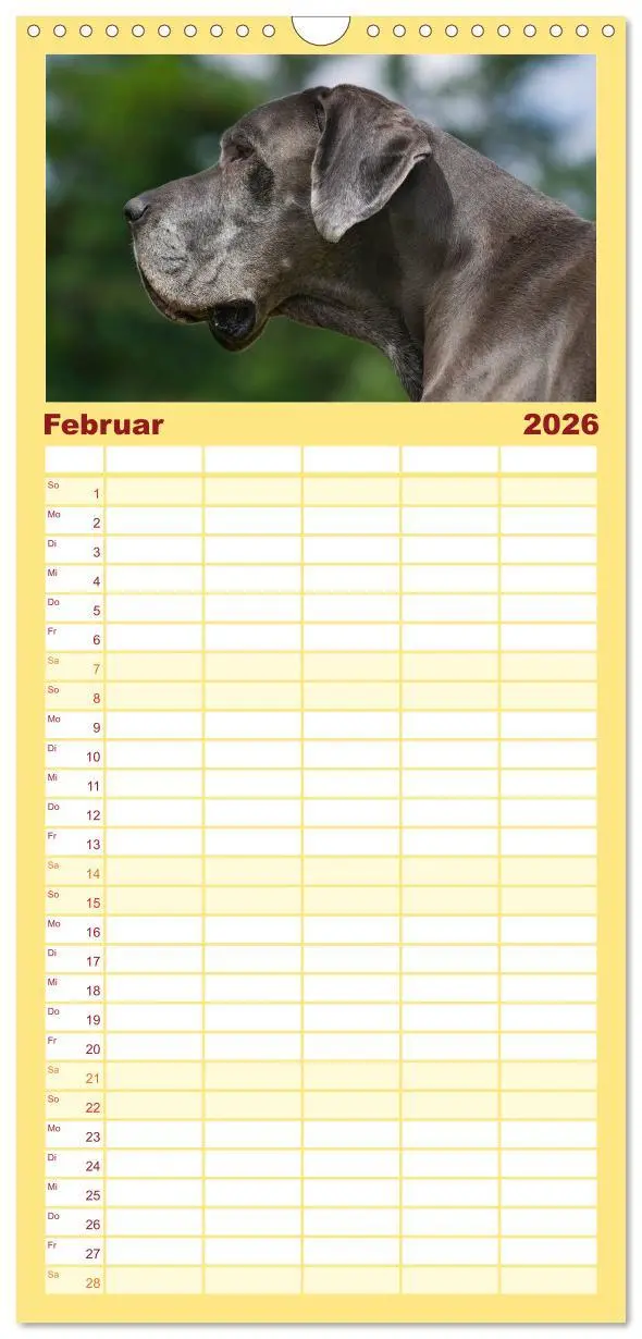 Bild: 9783516515190 | Familienplaner 2026 - Deutsche Dogge mit 5 Spalten (Wandkalender,...