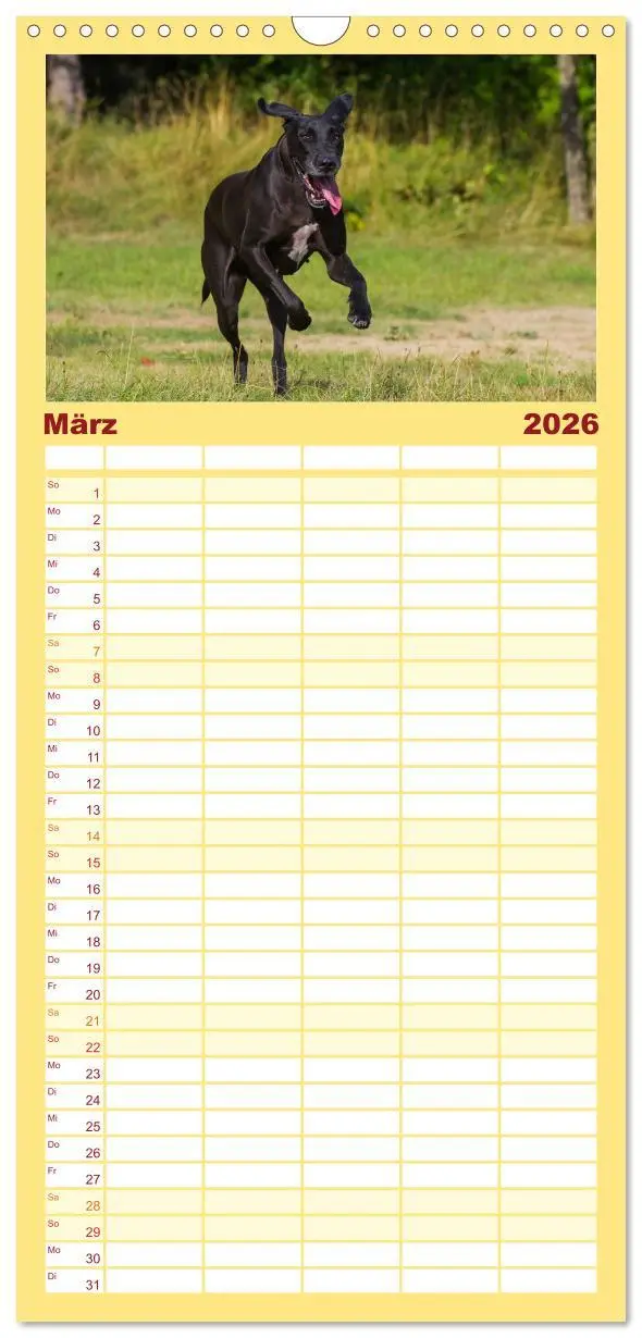 Bild: 9783516515190 | Familienplaner 2026 - Deutsche Dogge mit 5 Spalten (Wandkalender,...