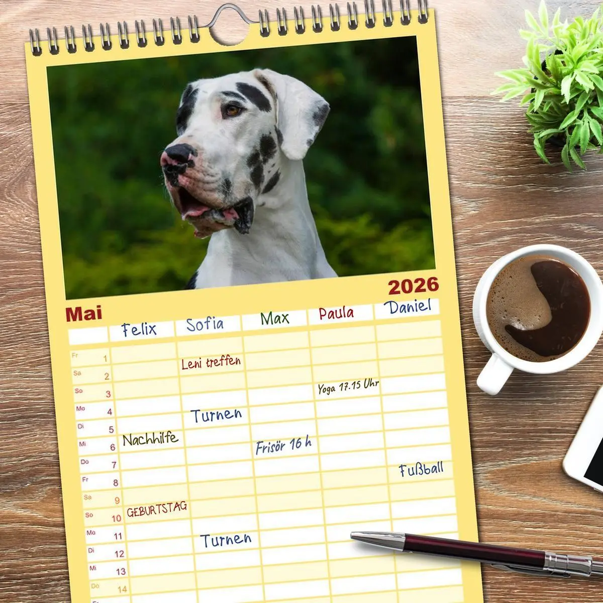 Bild: 9783516515190 | Familienplaner 2026 - Deutsche Dogge mit 5 Spalten (Wandkalender,...