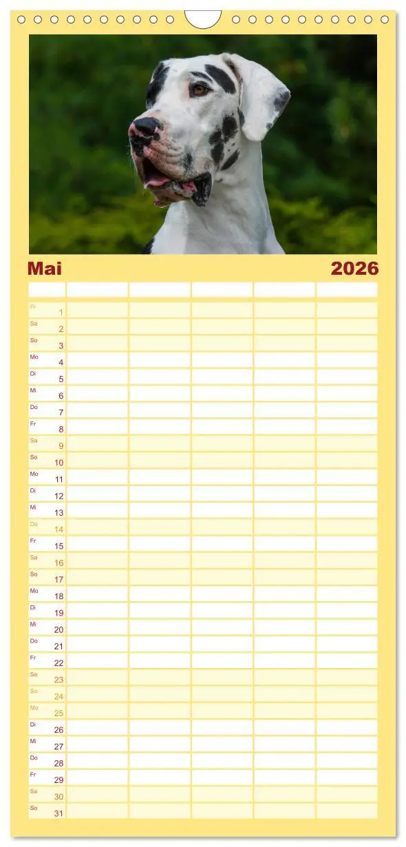 Bild: 9783516515190 | Familienplaner 2026 - Deutsche Dogge mit 5 Spalten (Wandkalender,...