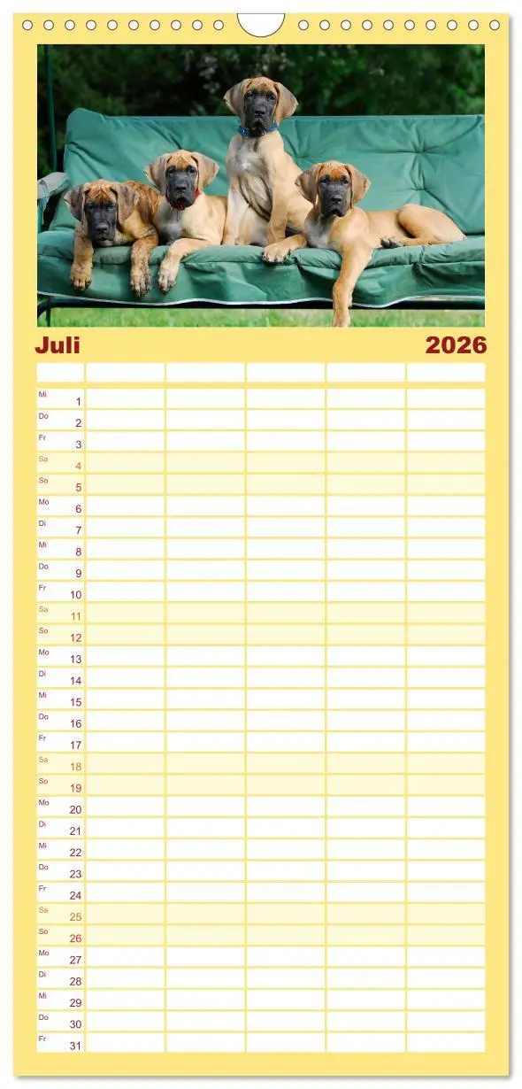 Bild: 9783516515190 | Familienplaner 2026 - Deutsche Dogge mit 5 Spalten (Wandkalender,...