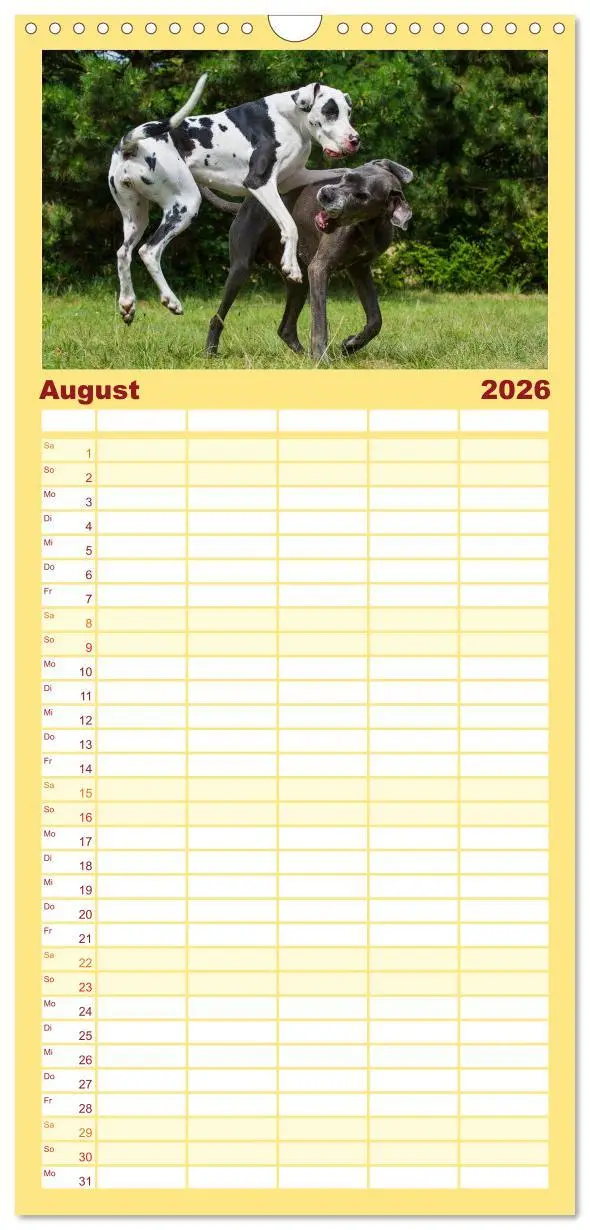 Bild: 9783516515190 | Familienplaner 2026 - Deutsche Dogge mit 5 Spalten (Wandkalender,...