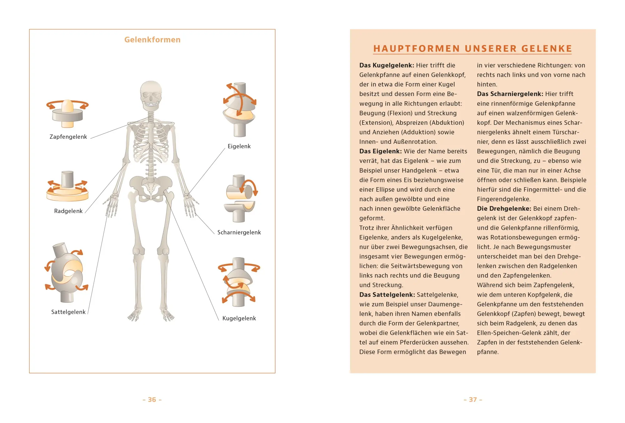 Bild: 9783965845190 | Mit starken Knochen durchs Leben | Ralf Oheim | Taschenbuch | 144 S.