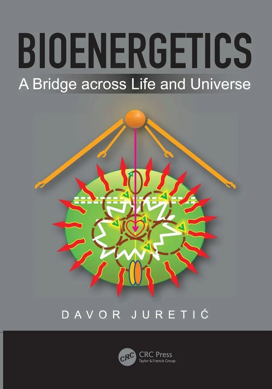 Cover: 9781032045290 | Bioenergetics | A Bridge across Life and Universe | Davor Juretic