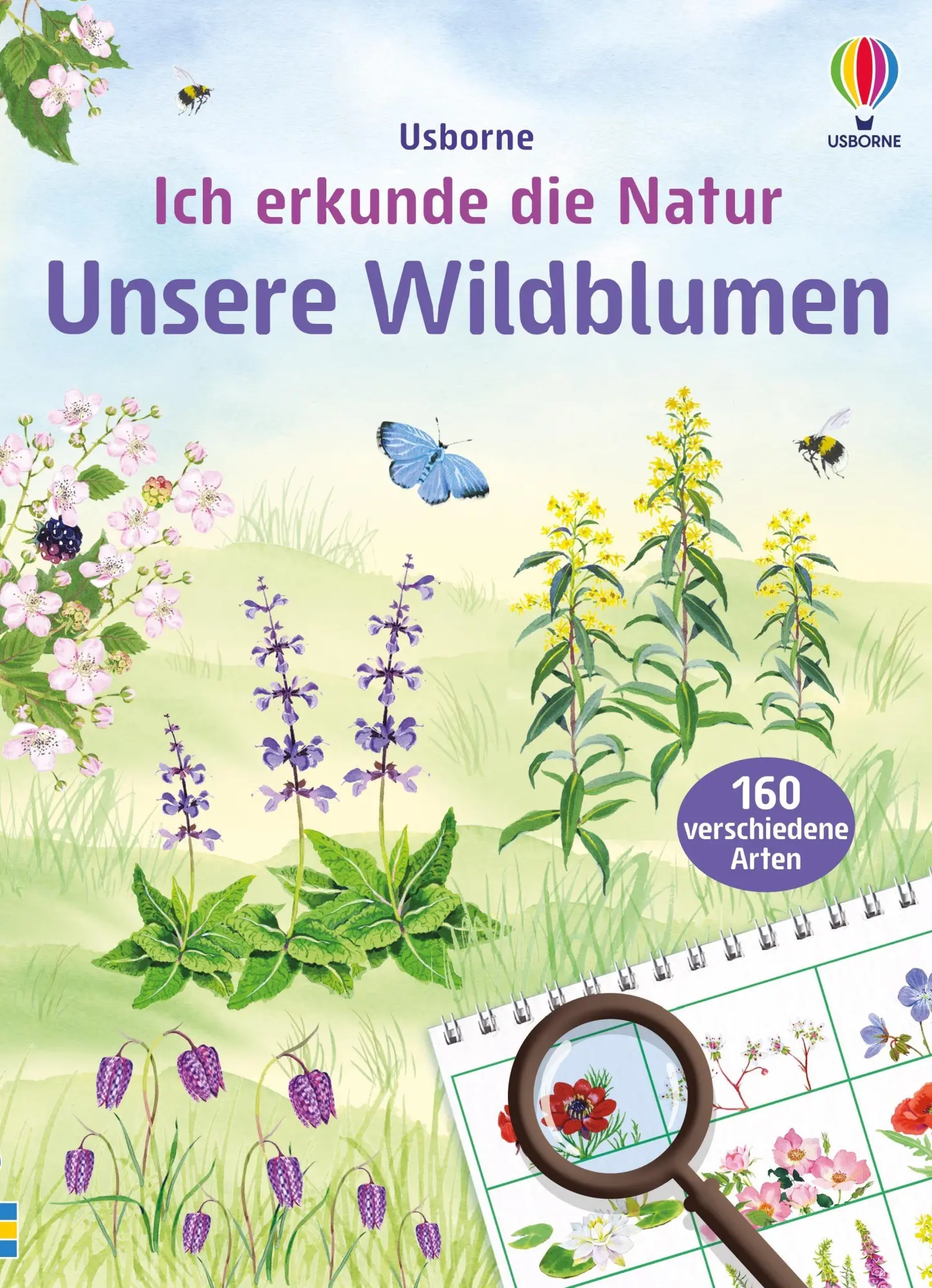 Cover: 9781035705290 | Ich erkunde die Natur: Unsere Wildblumen | Sarah Russell | Taschenbuch