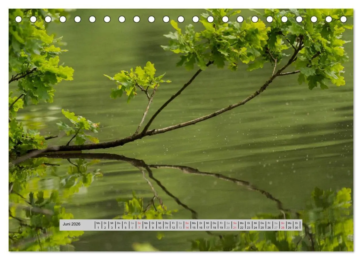 Bild: 9783516055290 | Perlen des Westerwaldes (Tischkalender 2026 DIN A5 quer), CALVENDO...