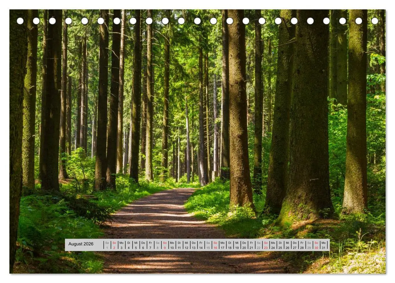 Bild: 9783516055290 | Perlen des Westerwaldes (Tischkalender 2026 DIN A5 quer), CALVENDO...