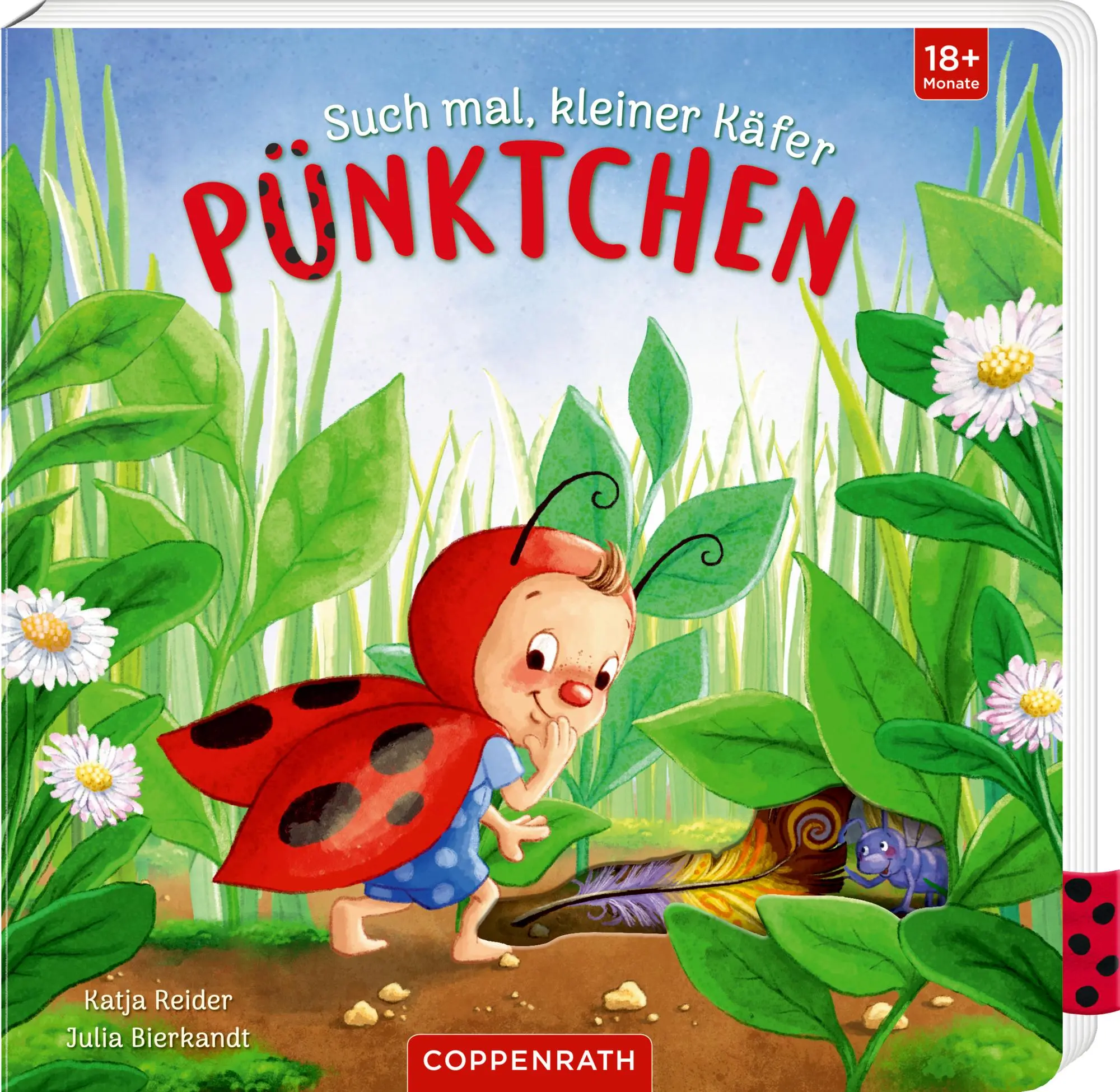 Cover: 9783649645290 | Such mal, kleiner Käfer Pünktchen | Katja Reider | Buch | 14 S. | 2023