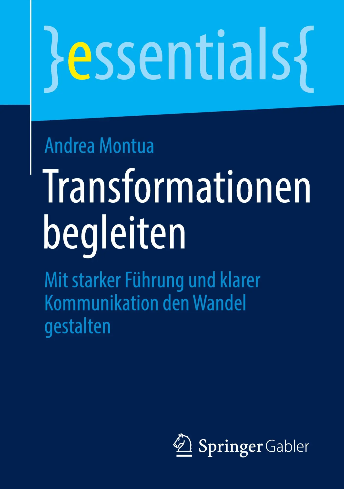 Cover: 9783658485290 | Transformationen begleiten | Andrea Montua | Taschenbuch | xvi | 2025