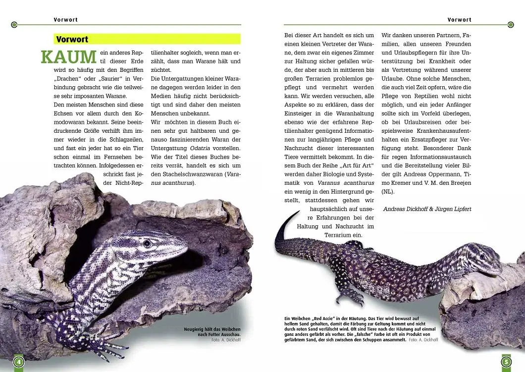 Bild: 9783937285290 | Der Stachelschwanzwaran | Varanus acanthinurus | Lipfert (u. a.)