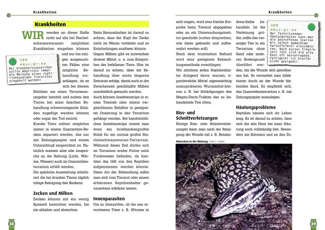 Bild: 9783937285290 | Der Stachelschwanzwaran | Varanus acanthinurus | Lipfert (u. a.)
