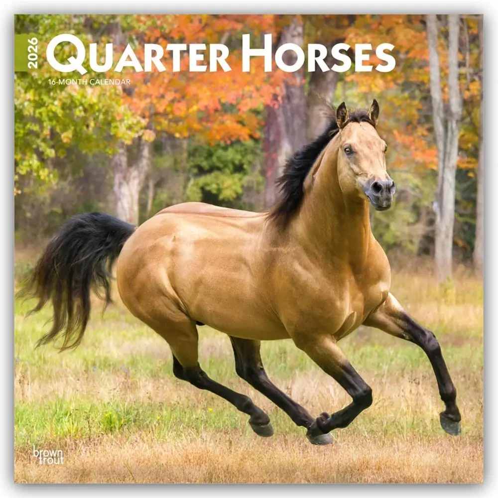 Cover: 9798330705290 | Quarter Horses 2026 12 X 24 Inch (Hanging) Monthly Square Wall...