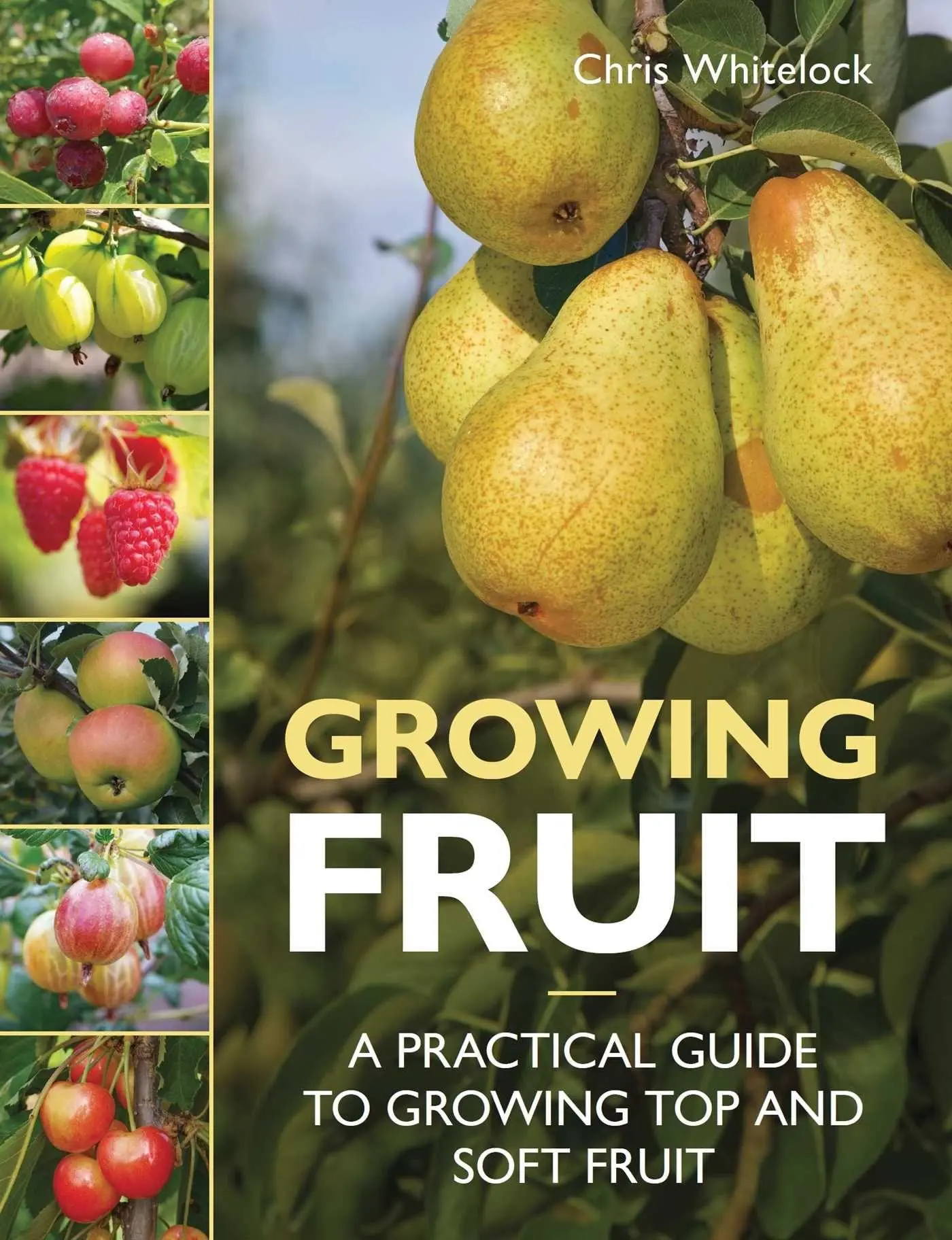 Cover: 9780719845390 | Growing Fruit | A Practical Guide to Growing Top and Soft Fruit | Buch