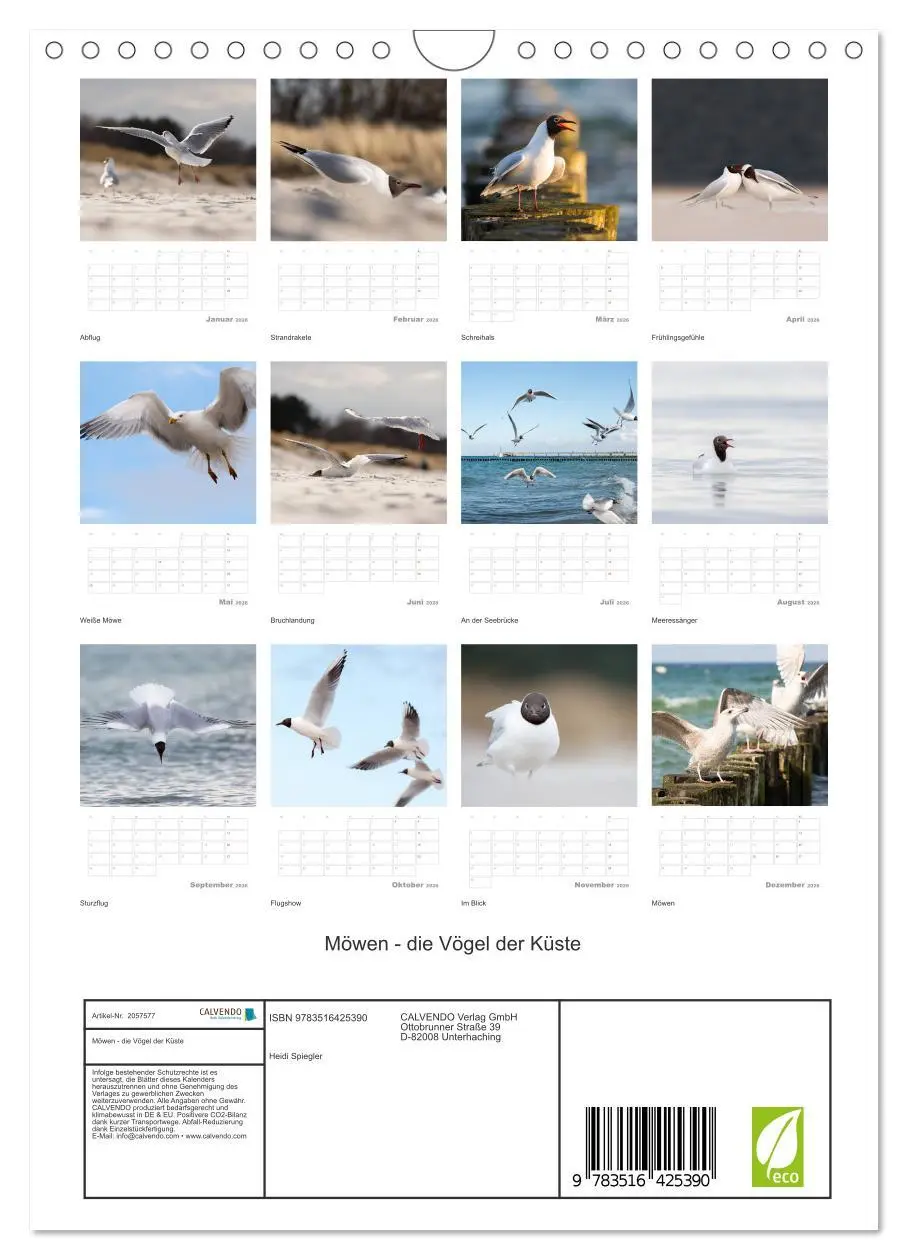 Bild: 9783516425390 | Möwen - die Vögel der Küste (Wandkalender 2026 DIN A4 hoch),...