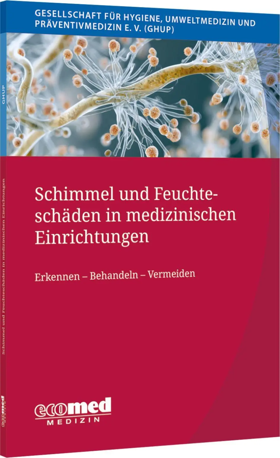 Schimmel und Feuchteschäden in medizinischen Einrichtungen - Neuware