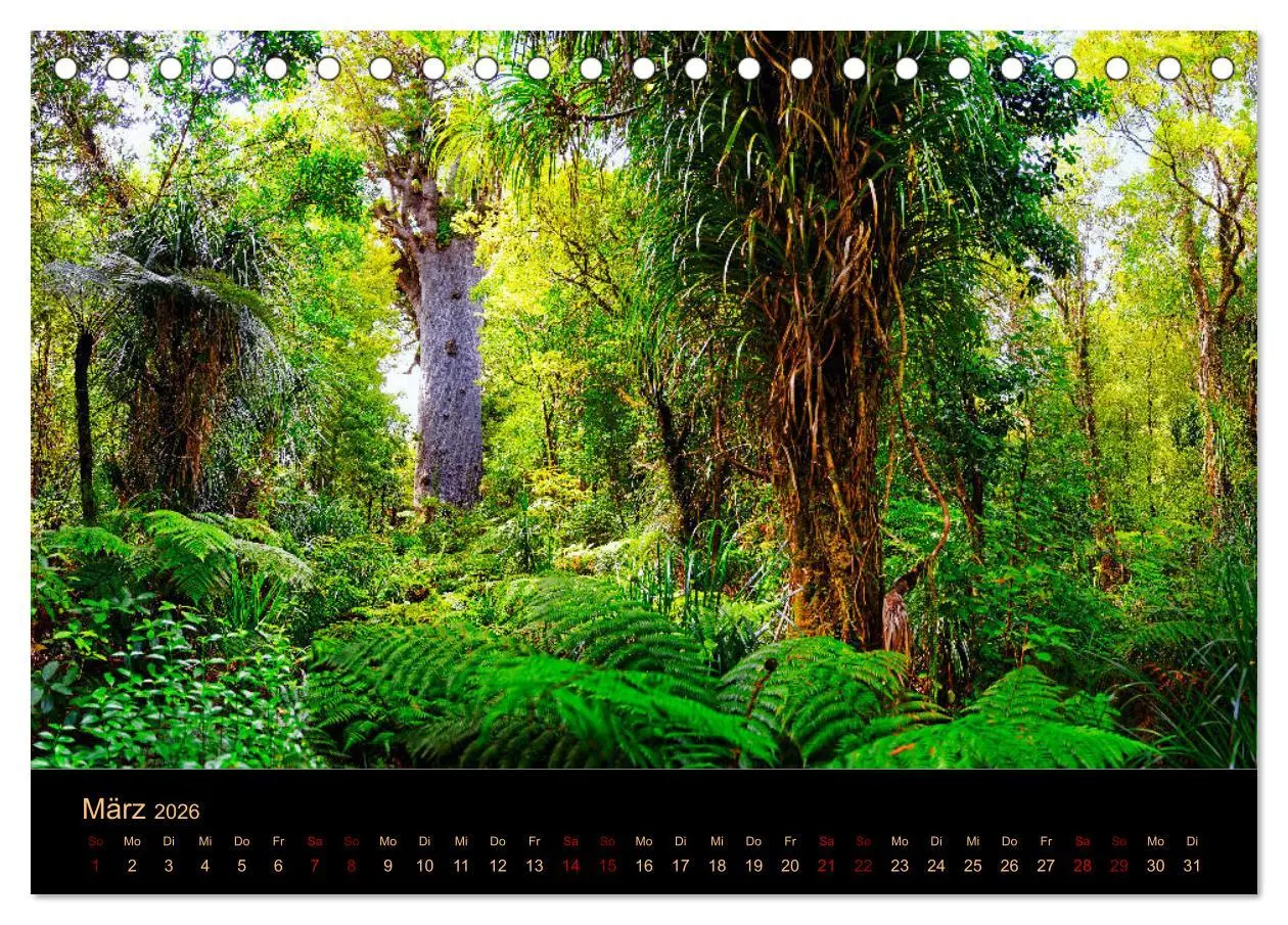 Bild: 9783457255490 | Südseetraum Neuseeland (Tischkalender 2026 DIN A5 quer), CALVENDO...