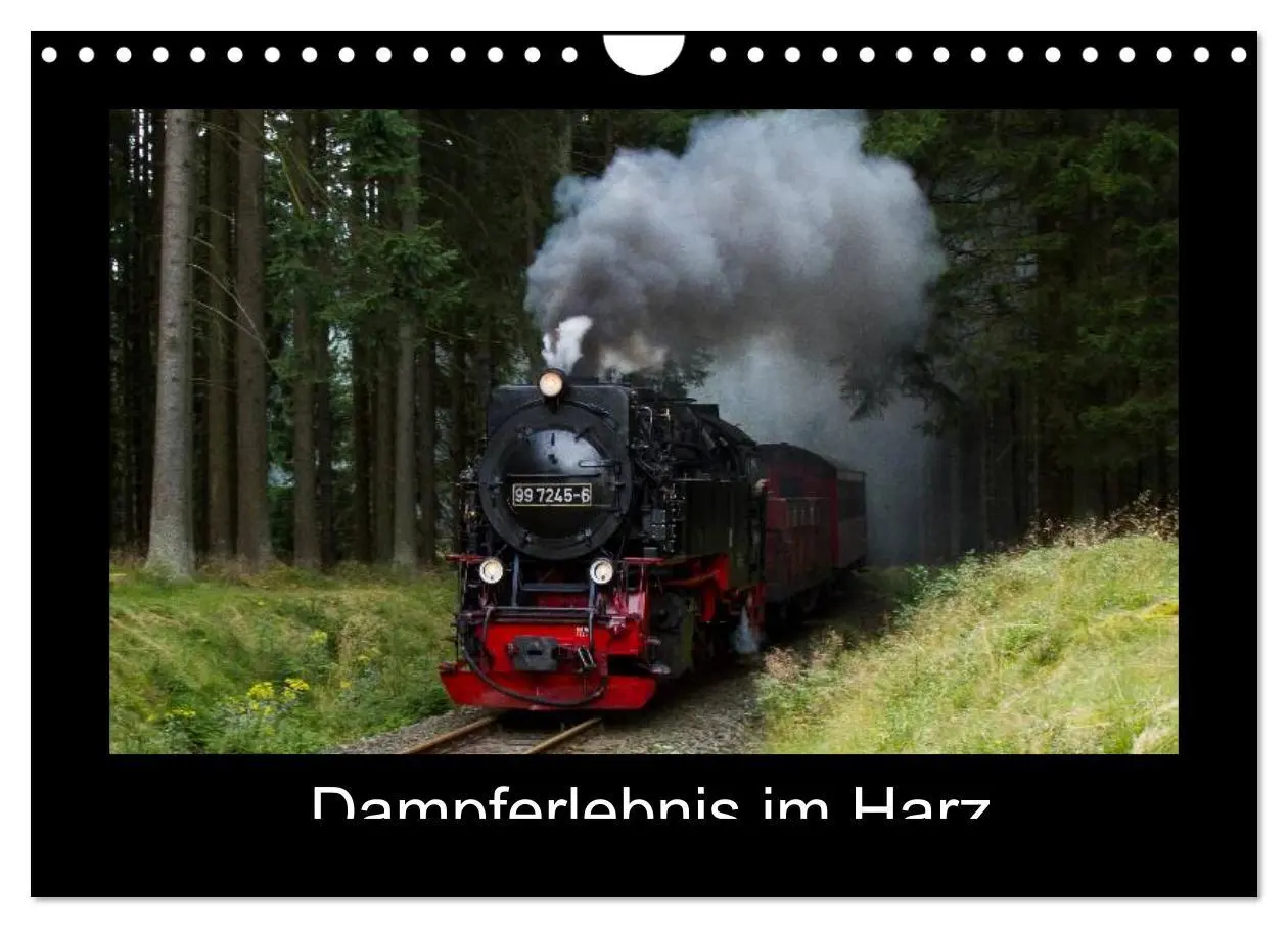 Cover: 9783516105490 | Dampferlebnis im Harz (Wandkalender 2026 DIN A4 quer), CALVENDO...