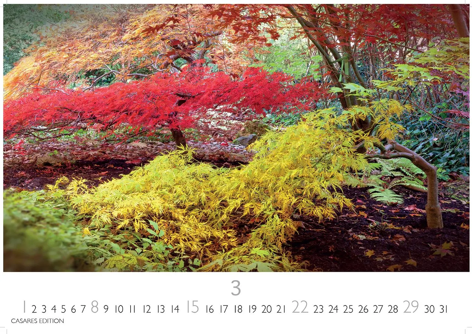 Bild: 9781835245590 | Japanische Gärten 2026 L 35x50cm | Kalender | 14 S. | Deutsch | 2026