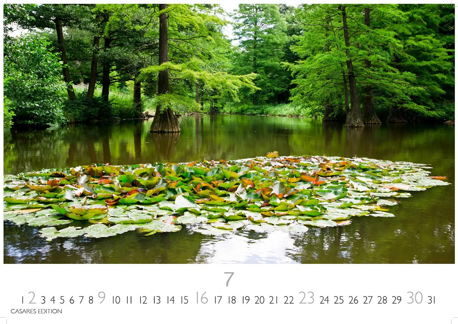 Bild: 9781835245590 | Japanische Gärten 2026 L 35x50cm | Kalender | 14 S. | Deutsch | 2026